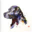 « dog », reproduction d’art sur toile tendue-22647190-72669546-72669551
