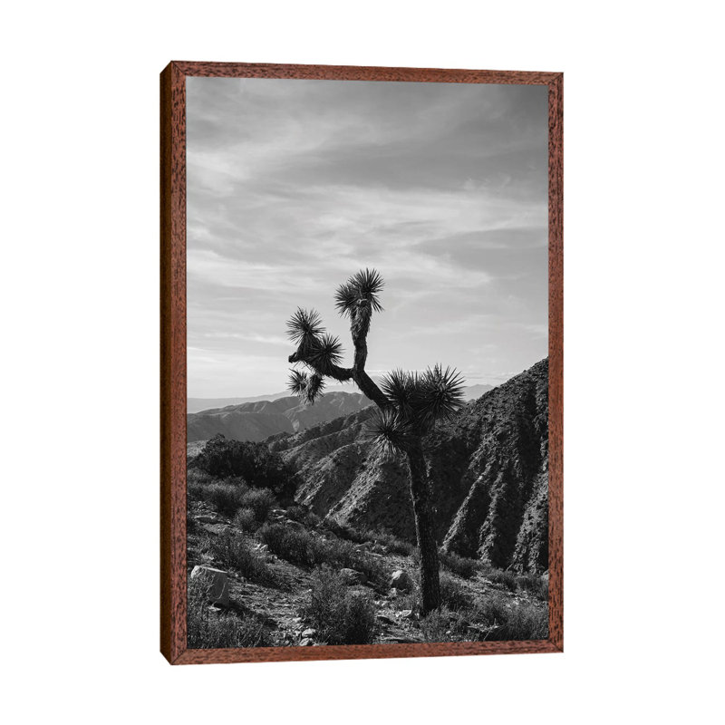 Joshua Tree National Park XXXIV by Bethany Young - Print on Canvas, Classic Brown Wood Framed
