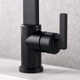 Single Hole Bathroom Faucet with Drain Assembly