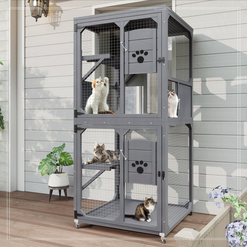 Fenêtre pour chat Catio