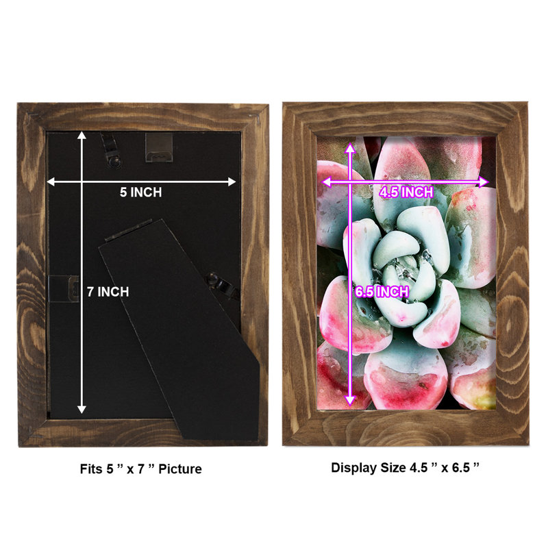 Pastel Succulent Beauty V, reproduction d'art sur papier, H 6 po x l 4 po x P 1 po, Noyer