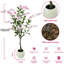 Plant-631875357