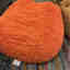 Customer photo 2 of 2