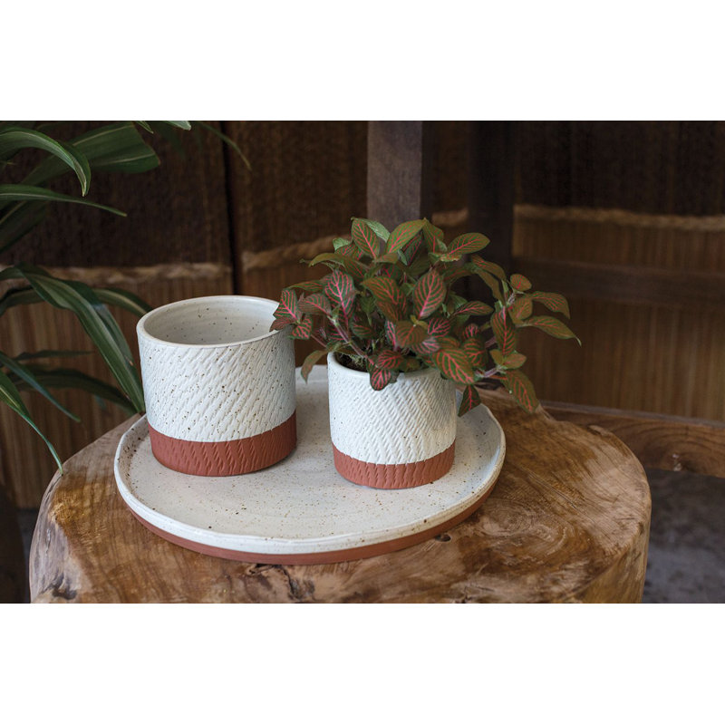 Pot à fleurs en céramique Helmtrude Como, H 4,5 po x l 5 po x P 5 po