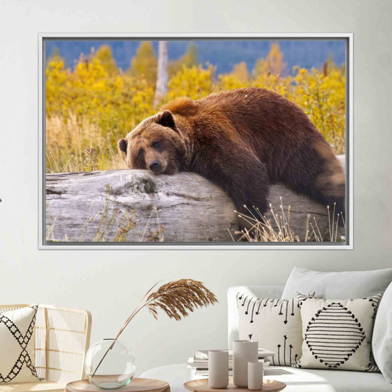 Art mural encadré avec un ours brun humoristique reposant sur une bûche pour une décoration moderne, H 45 po x l 65 po, Blanc