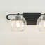Eveline 2 Light Transparent Dimmable Vanity Light-863452997