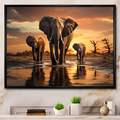 Elephant Shadows Of Serenity II - Elephant Canvas Wall Art