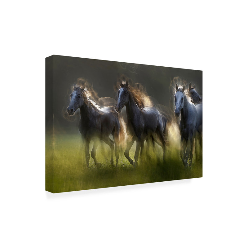 Art sur toile Milan Malovrh Aura, H 12 po x l 19 po