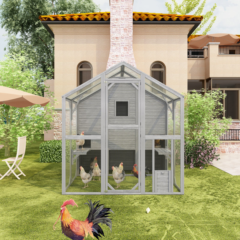 Erminio 33.53 Square Feet Chicken Coop with Chicken Run For Up To 6 Chickens, Gray