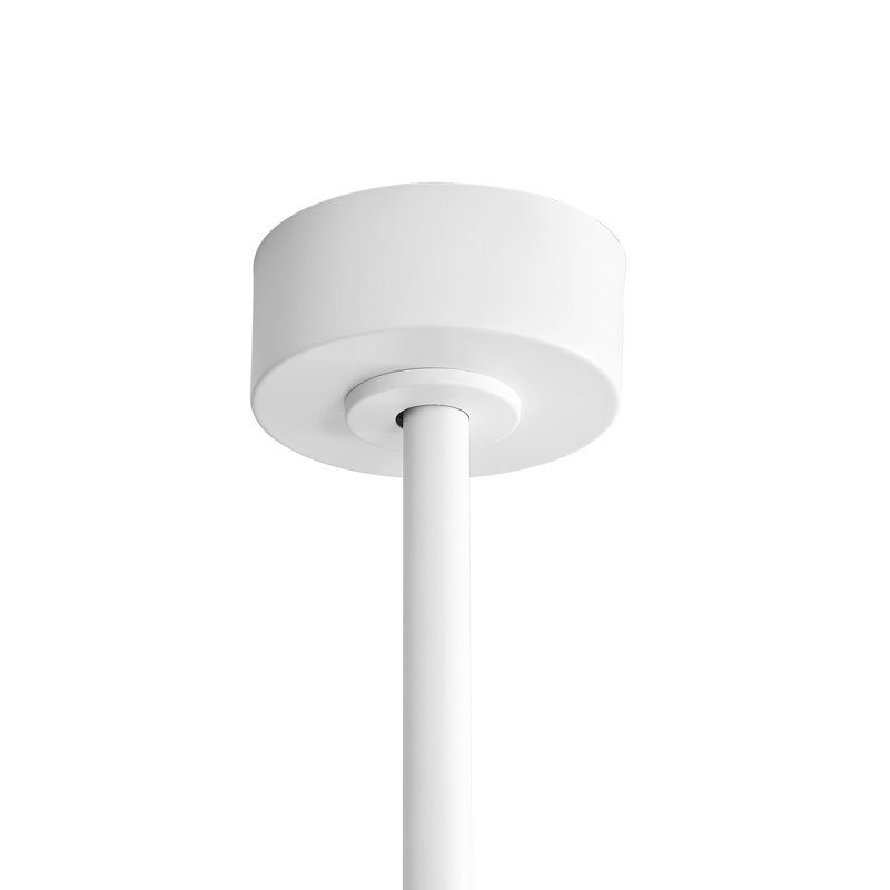 Antoinesha 8 lumières DEL standard avec télécommande et ensemble d'éclairage inclus, Blanc, Blanc, 80"
