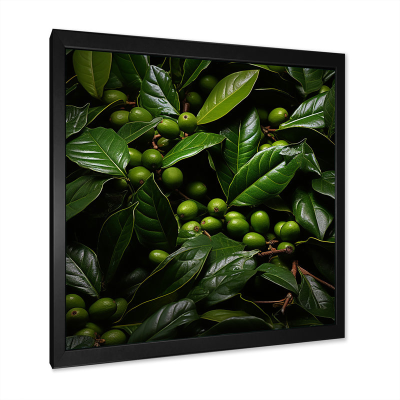 " Tropical Robusta Palm Rhythms ", Black Single Picture Framed, 24" H x 24" W x 1" D