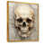 Gold Floater Framed