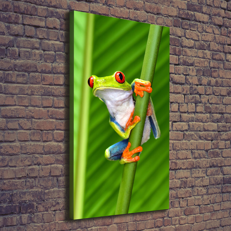 Tree Frog - Wrapped Canvas Print