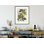Carolina Parakeet from «Birds of America» par John James Audubon, impression giclée encadrée