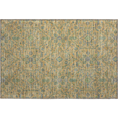 Premium Machine Washable Ducote AMF1131 Global Rug