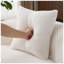 Canapé 2 places en velours Aura l 66,93 po x P 35 po x H 27,6 po Aura