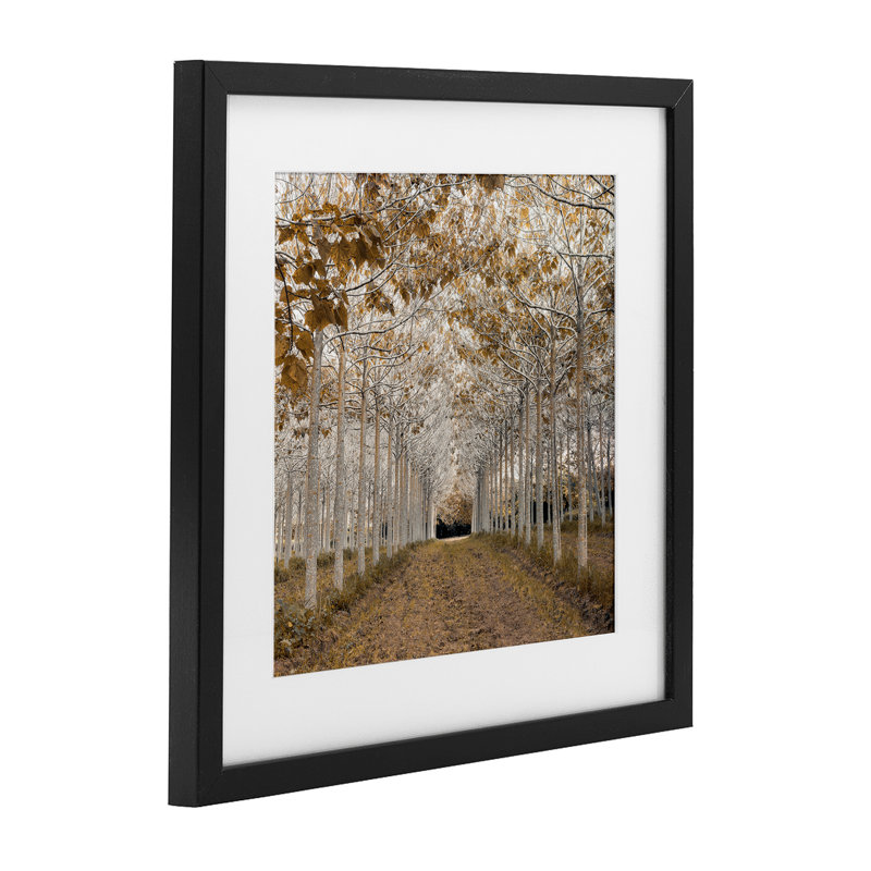 Reproduction sous verre encadrée de bouleau blanc et or blanc, design par Assaf Frank, H 13 po x l 13 po, Cadre noir minuit