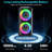 Karaoke Machine With 2 Wireless Microphones  Pa System For Adults With Echo Adjustment/Led Lights  Support Tv/Usb/Aux/Tf