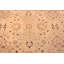 One-of-a-Kind Rectangle 11' X 14' Area Rug
