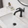 2-Handle Mixer Faucet with Pop-Up Drain