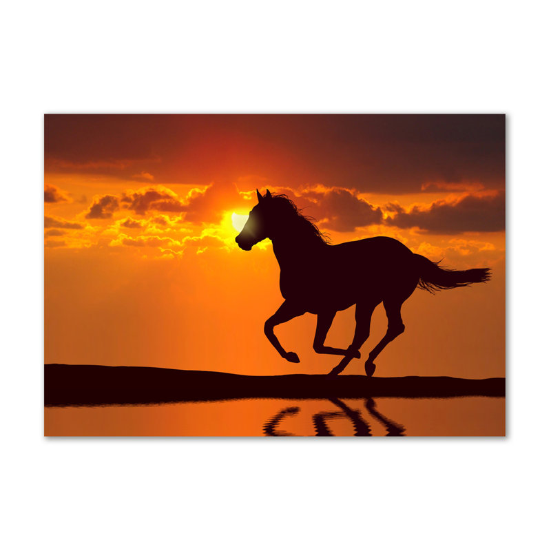Sunset Horse - No Frame Print on Canvas