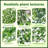 6 Pack Artificial Hanging Vine Plants Boho Wall Shelf Indoor Decor