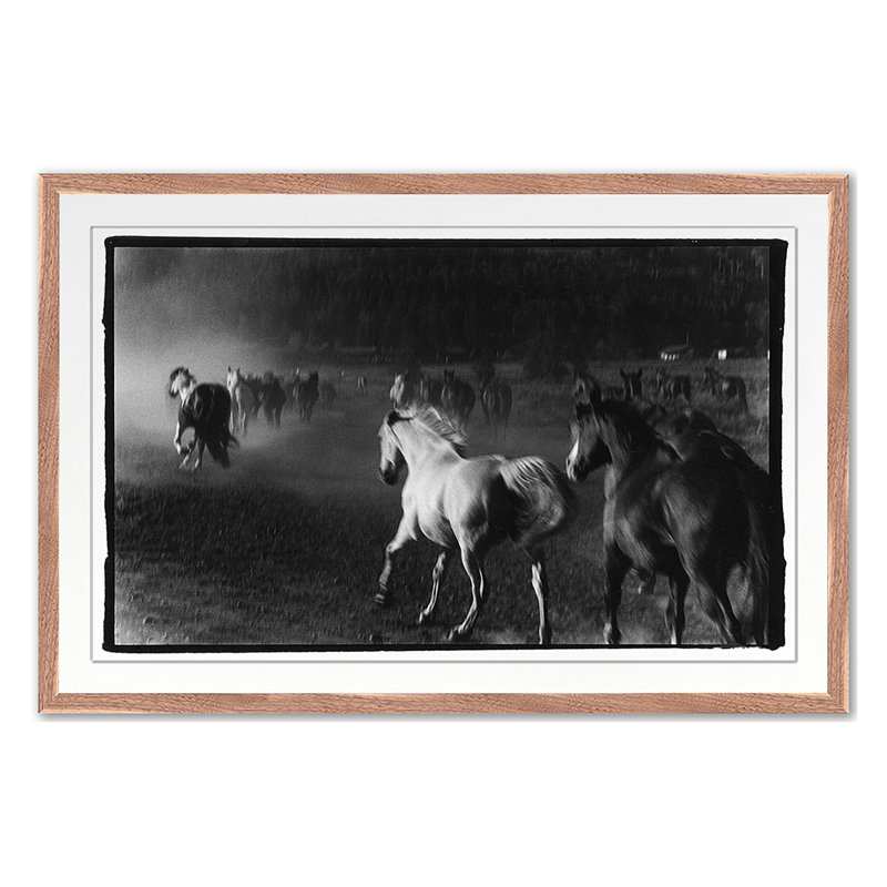 Hoof Dreams Print by Raab, Amy, Walnut Single Picture Framed, 20'' H x 30'' W