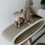 District70 2-in-1 Cat Scratcher Oval Office