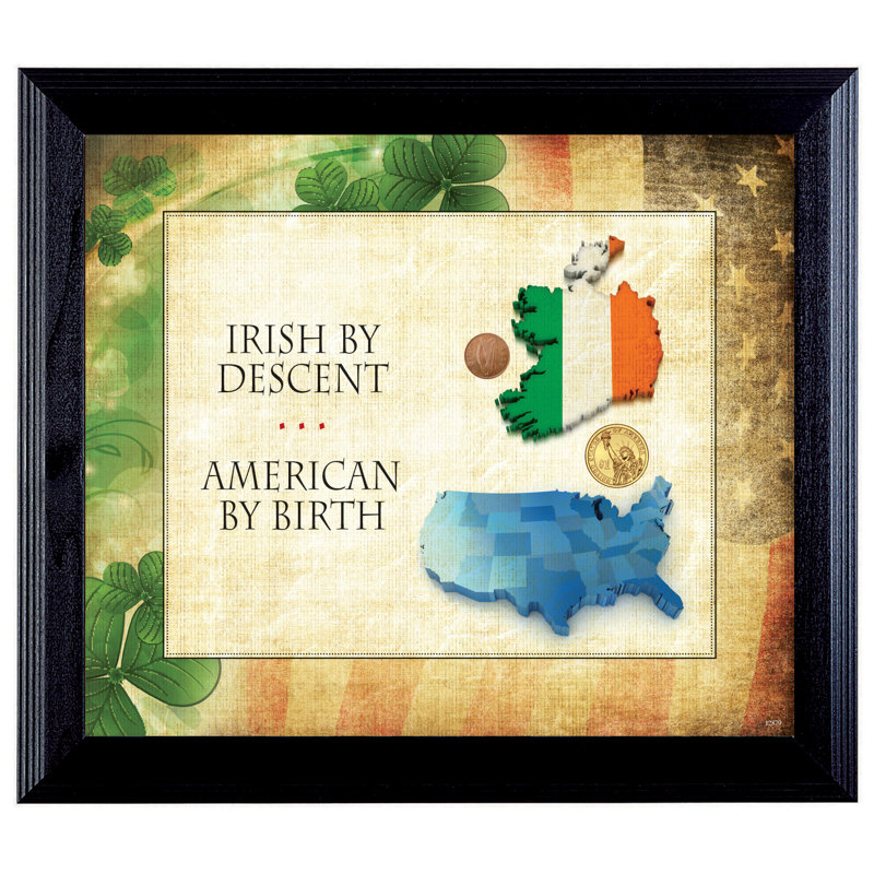 Irish Heritage and American Birth Coin Display Frame