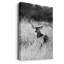 Grasslands - reproduction de photo-949000766-949000763-949000762