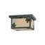 Philpott 2 - Light Flush Mount