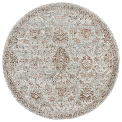 Evoke 255 Performance Oriental Rug