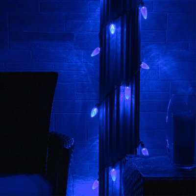 C9 LED Christmas String Light