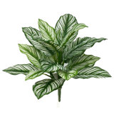 16'' Faux Calathea Whitestar Plant