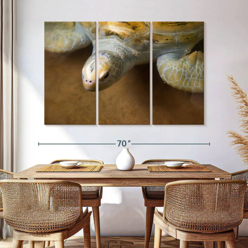 Grande tortue Brampt, H 42 po x l 65 po