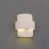 Paintable Bisque