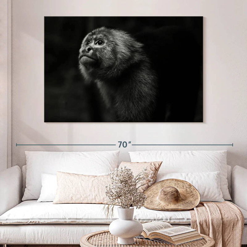 Brampt Capuchin Monkey, 34'' H x 51'' W