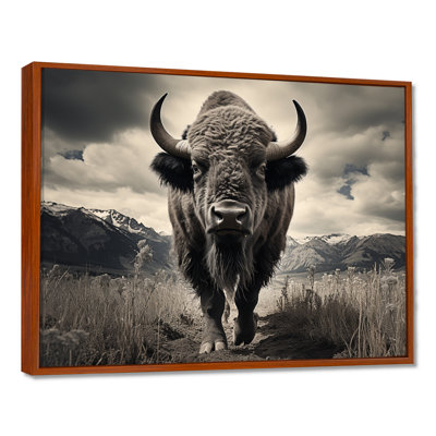 Bison Majestic Bison - Bison Canvas Print