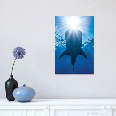 Whale Shark AndSun by Barathieu Gabriel - Wrapped Canvas Print