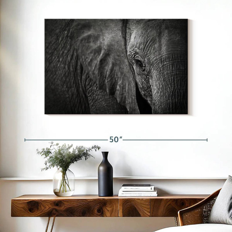Oeil d'éléphant Brampt, H 26 po x l 39 po