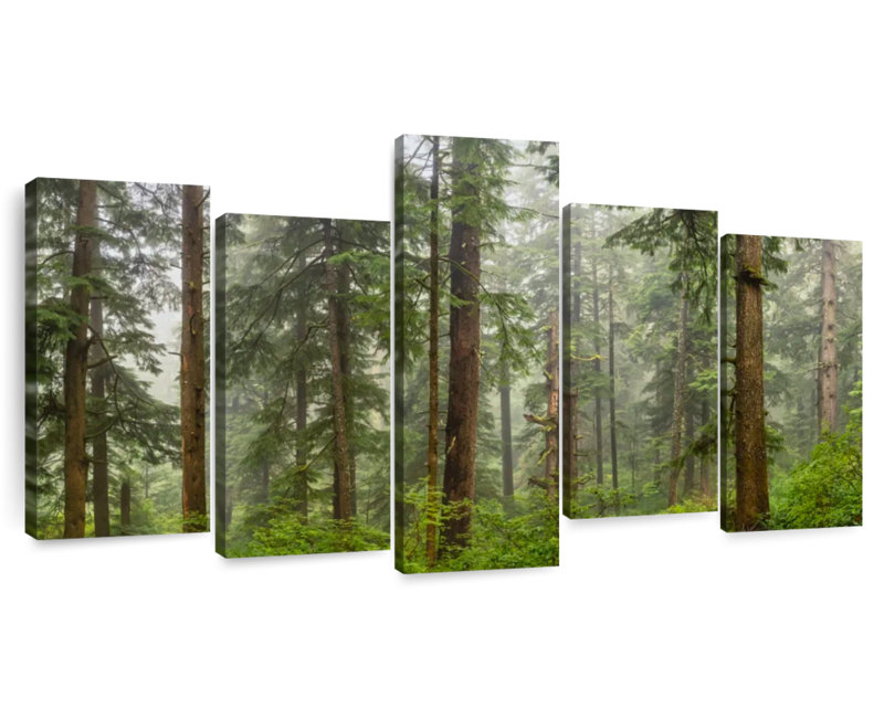 Panorama de la forêt d'Alvord sur la côte de l'Oregon, H 24 po x l 49 po