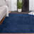 Youssouf Performance Indoor Rug-695789393