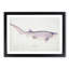 Illustration of a Tiger Shark by F.E. Clarke - Picture Frame Painting Print-55579835-55579842