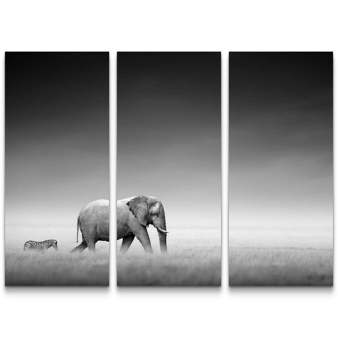 3-tlg. Leinwandbilder-Set Elefant und Zebra in der Afrikanischen Steppe