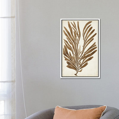 Sepia Seaweed II by Vision Studio - Gallery-Wrapped Canvas Giclée on Canvas