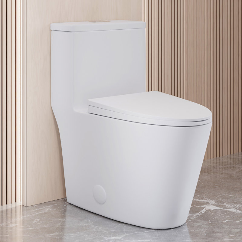 Dreux One Piece Elongated Dual Flush Toilet with 0.95/1.26 GPF, Top, 30" H x 16.5" W x 28" D, Glossy White