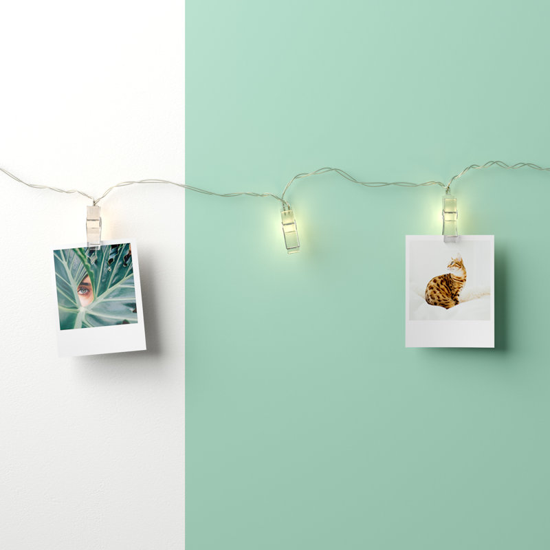 Hyer Indoor 24 - Bulb 4.5'' Battery Powered LED Novelty String Light