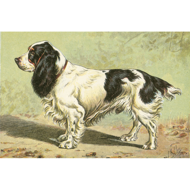 Mans Best Friend V - Wrapped Canvas Print, 46cm H x 30cm W x 3.8cm D