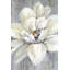 Fleur blanche sur bois - reproduction encadrée pour la décoration intérieure-1724792038