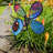 Pivoting Dragonfly Spinner